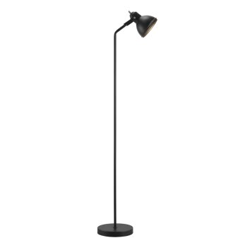 Nordlux ASLAK Floor Lamp black, 1-light source