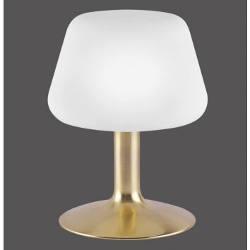 TILL table Light LED brass, 1-light source