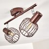 Cancun Ceiling Light brown, 2-light sources