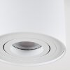 Quimper Ceiling Light white, 1-light source
