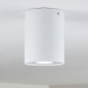 Quimper Ceiling Light white, 1-light source