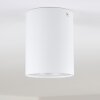 Quimper Ceiling Light white, 1-light source
