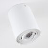 Quimper Ceiling Light white, 1-light source