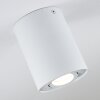 Quimper Ceiling Light white, 1-light source