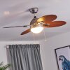 NICOSIA ceiling fan Dark wood, matt nickel, 1-light source