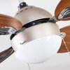 NICOSIA ceiling fan Dark wood, matt nickel, 1-light source