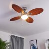 NICOSIA ceiling fan Dark wood, matt nickel, 1-light source