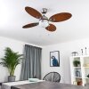 NICOSIA ceiling fan Dark wood, matt nickel, 1-light source
