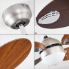 NICOSIA ceiling fan Dark wood, matt nickel, 1-light source