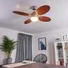 NICOSIA ceiling fan Dark wood, matt nickel, 1-light source