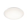 Ceiling Light Reality POLLUX LED white, 1-light source, Motion sensor