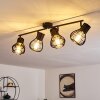 GAINESVILLE Ceiling Light black, 4-light sources