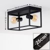 Ryssby Ceiling Light black, 2-light sources