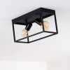 Ryssby Ceiling Light black, 2-light sources