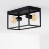 Ryssby Ceiling Light black, 2-light sources