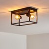 Ryssby Ceiling Light black, 2-light sources