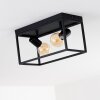 Ryssby Ceiling Light black, 2-light sources