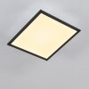 SALMI Ceiling Light LED black, white, 1-light source