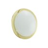 Eglo PLANET 1 Wall and Ceiling Light brass