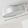 Victoria ceiling light LED white, 1-light source