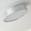 Victoria ceiling light LED white, 1-light source