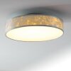 Victoria ceiling light LED white, 1-light source