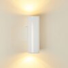 BRACHY Outdoor Wall Light LED white, 2-light sources