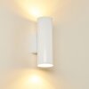 BRACHY Outdoor Wall Light LED white, 2-light sources