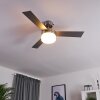 VEVEY ceiling fan Light wood, matt nickel, silver, 2-light sources, Remote control