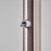 Paul Neuhaus WOMBLE floor lamp stainless steel, 6-light sources