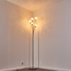 Paul Neuhaus WOMBLE floor lamp stainless steel, 6-light sources