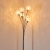 Paul Neuhaus WOMBLE floor lamp stainless steel, 6-light sources