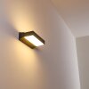 Outdoor Wall Light Hjortspring LED anthracite, 1-light source