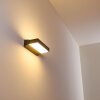 Outdoor Wall Light Hjortspring LED anthracite, 1-light source