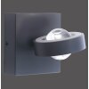 Wall Light Paul Neuhaus Q-MIA LED anthracite, 2-light sources, Remote control
