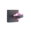 Wall Light Paul Neuhaus Q-MIA LED anthracite, 2-light sources, Remote control