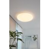 EGLO FRANIA Ceiling Light LED white, 1-light source