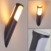 Nalmaibrück Outdoor Wall Light anthracite, 1-light source