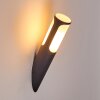 Nalmaibrück Outdoor Wall Light anthracite, 1-light source
