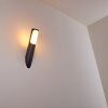 Nalmaibrück Outdoor Wall Light anthracite, 1-light source