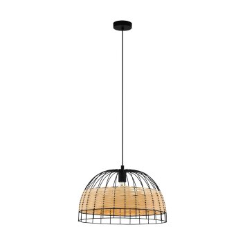 Eglo ANWICK Pendant Light black, 1-light source