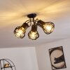 GAINESVILLE Ceiling Light black, 3-light sources