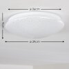 NORTON STAR Ceiling light LED white, 1-light source