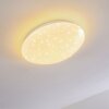 NORTON STAR Ceiling light LED white, 1-light source
