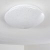 NORTON STAR Ceiling light LED white, 1-light source