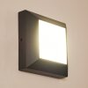 ALKMAAR Outdoor Wall Light LED anthracite, 1-light source