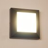 ALKMAAR Outdoor Wall Light LED anthracite, 1-light source