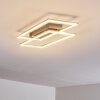 VEYRIER Ceiling light LED brushed steel, 2-light sources
