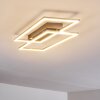 VEYRIER Ceiling light LED brushed steel, 2-light sources