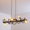Hovslund Pendant Light black-gold, 6-light sources
